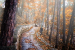 дорога в осень / осенний день в парке отдыха Кисловодска