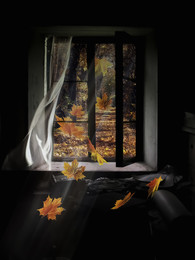 autumn greetings for the old house / autumn greetings for the old house