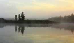 Седой туман над озером / ***