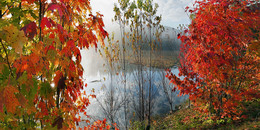 Там за туманами / Октябрь - Алгонкуин Парк - Онтарио - Канада .