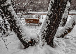 Скоро в парках зима. / Сокольники.