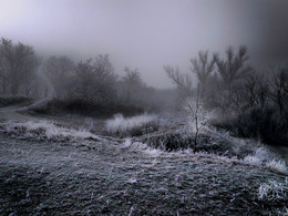 Утро туманное 2 / Сколько чар у этой травы укрытой туманом...