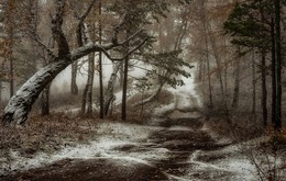 Осенний блюз. / Дождь, переходящий в снег припорошил дорожки.. деревья.