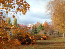 Осень в парке Тольятти / Парк Центрального района г. Тольятти, октябрь 2017г.