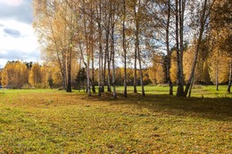 Осенний пейзаж. / Осень, берёзы, солнечный день ...