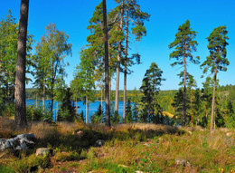 На побережье финского озера / Финляндия