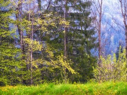 &nbsp; / Баварские Альпы (Германия)