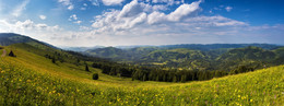 Июньская панорама / Июньская панорама