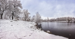 Первый снег ноября. / Путиловский лес