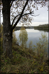 Осенние зарисовки / Осень