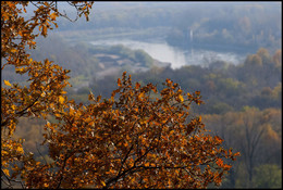 Осенние зарисовки / Осень