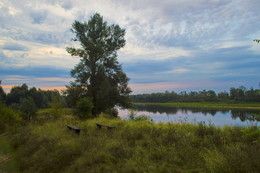 Утро на реке. / Раннее сентябрьское утро на реке Припять. Беларусь.