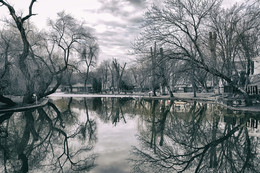 Зеркало души / Осенний Городской парк города Краснодара