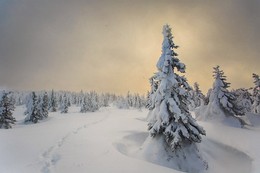 Утро после метели / Национальный парк Таганай. Всю ночь мела метель, лишь под утро с появлением солнца ветер немного затих.