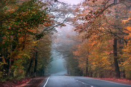 Осенняя дорога / Этот участок дороги в Апшеронском районе от х.Малько до х.Спасов прекрасен во все времена года.