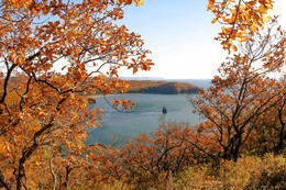 Осень в Приморье / Золотая осень в Приморье (Находка)