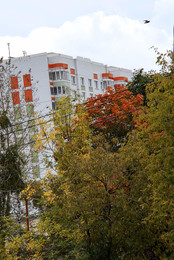 Хмурый день / На фото запечатлен осенний городской пейзаж, в котором краски осени перекликаются с цветом здания