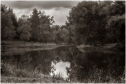 Дождливый сентябрь. / С.Петербург. Павловск. Парк. Ч/б пленка. Монокль. Оцифровка негатива.