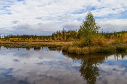 Осень на реке Бобровка / Осень на реке Бобровка. Белоярский район. ХМАО-Югра