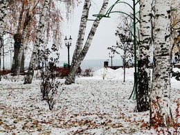 Березовый ситец / 2014-11-18-1-C00-096(83)