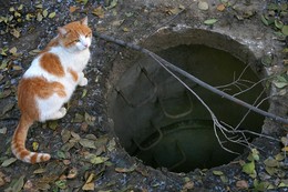 достань! / не знаю какое описание написать