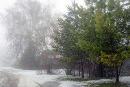 Магия тумана в декабре / Туманный день