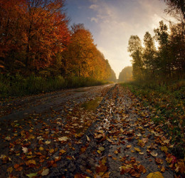 Дорога в Осень / Утро замечательного осеннего денька.
Приятного просмотра!
