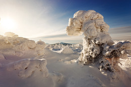 Замело / Зима на Южном Урале бывает очень снежной, деревья на вершинах хребтов залепляет снегом. Ночная метель может сделать фантастические фигуры из простых ёлок.