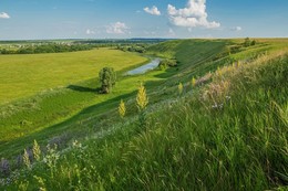 &nbsp; / Татарстан,старица реки Казанка(д.Камаево)