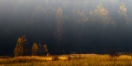 Под солнцем ноября / Последние дни осени. Утро на опушке леса.
Приятного просмотра!