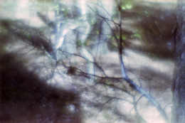  / пленка Agfa-100
проявка с помощью набора http://photosale.ru/fotomaterialy/fotokhimiya/digibase_c_41_mini_kit_500_ml_nabor_dlya_proyavki_plenki/