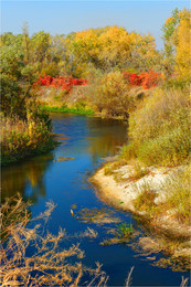 Осенняя Орель / Такую красоту можно было наблюдать в Орельском заповеднике в начале октября.