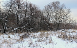 Припорошило / В парке