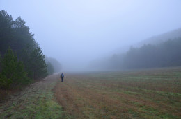 Туман / Крым, лес, поле, туман, грибник