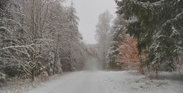 Ещё не сдаются осенние краски / Первый снег не смог закрыть все прелести осени