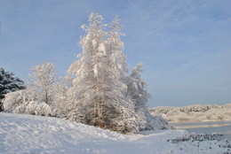 Погожий день / Природа