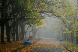 Утром осенним....... / Железноводск. Октябрь