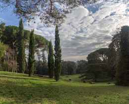 Английский сад / часть парка в резиденции Бурбонов в Казерте