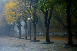 В парке туманном.... / Железноводск. Октябрь