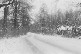 Зимняя дорога в д.Лемешино / пленка retropan 320 soft
Nikon f5