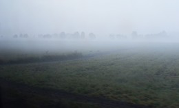 Завтрак в тумане ... / На рассвете 4 косули забрели на фермерские поля ...( из окна поезда)