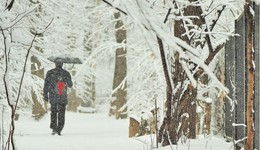 &quot;Опять эти белые мухи ...&quot; / &quot;Опять эти белые мухи,
 И крыши, и святочный дед,
 И трубы, и лес лопоухий
 Шутом маскарадным одет ...&quot;
 Б.Пастернак