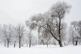 зима-1 / красивая зима в парке