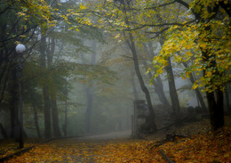 В парке туманном.... / Железноводск. Октябрь
