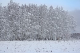 В СЕРЕБРЕ / Московская обл.