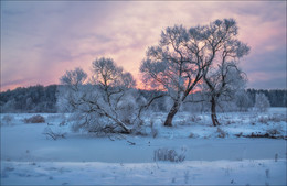 Морозный рассвет / Пейзаж Беларуси