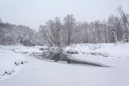 Серая шейка / Этот пейзаж напомнил мне сказку Мамина-Сибиряка про Серую шейку. Фото снято на берегу реки Кава в начале зимы.