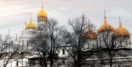 Кусочек Златоглавой / Благовещенский собор Московского Кремля