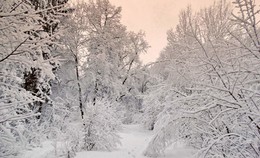 Снежное царство / Снежное царство