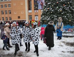 +1 / Про коровок.